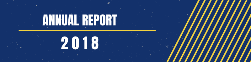 Flip Annual Report.png
